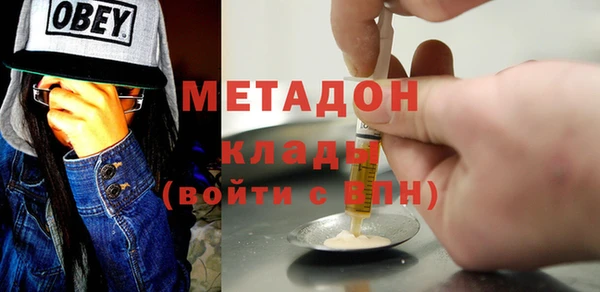 индика Аркадак