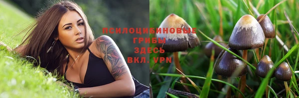индика Аркадак