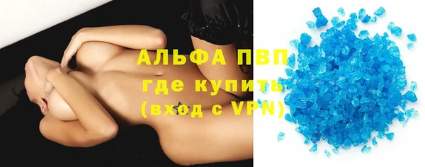 индика Аркадак