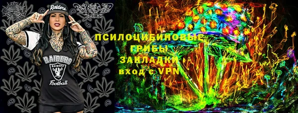 ГАЛЛЮЦИНОГЕННЫЕ ГРИБЫ Арсеньев